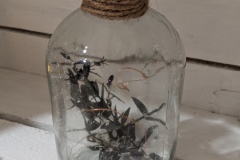 BOUTEILLE-LANTERNE-LED-deco-verte